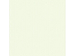 MFC OW 18mm/U501 PE  White /U501 PE/SP V313 2800x2070
