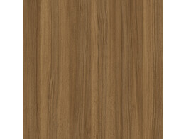 K ABS 23 x 1mm/5L93 AR  Atelier Caramel Arbor 